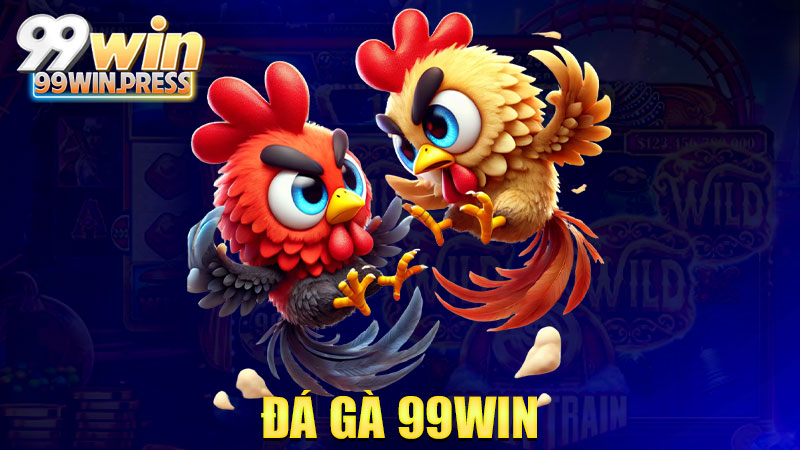 Đá gà 99Win: Cá cược sung mãn, trận nào cũng máu lửa