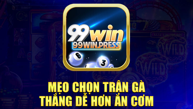 Mẹo chọn trận gà thắng dễ hơn ăn cơm